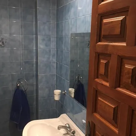 Palmeras 47 Menyber *