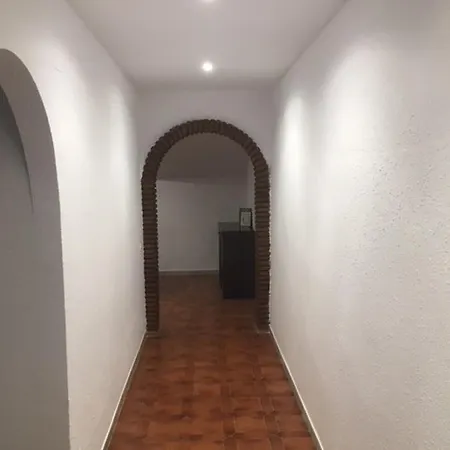 Palmeras 47 Menyber